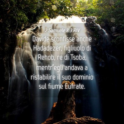 Picture 04 - 2 Samuele 8:3 RIV - Davide sconfisse anche Hadadezer, figliuolo di - Bible Verse Picture