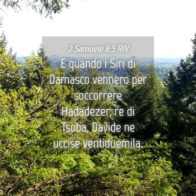 Picture 04 - 2 Samuele 8:5 RIV - E quando i Siri di Damasco vennero per soccorrere - Bible Verse Picture