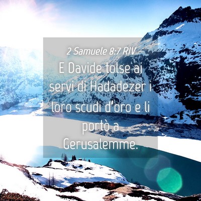 Picture 04 - 2 Samuele 8:7 RIV - E Davide tolse ai servi di Hadadezer i loro scudi - Bible Verse Picture