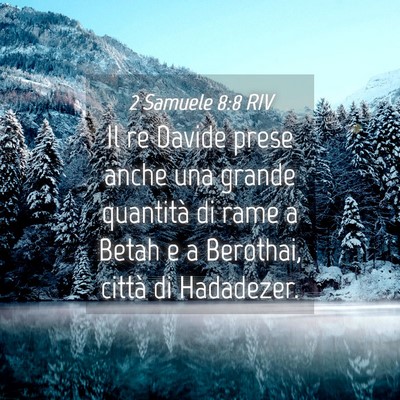 Picture 04 - 2 Samuele 8:8 RIV - Il re Davide prese anche una grande quantità di - Bible Verse Picture