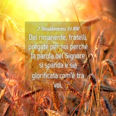 Picture 04 - 2 Tessalonicesi 3:1 RIV - Del rimanente, fratelli, pregate per noi perché - Bible Verse Picture