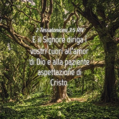 Picture 04 - 2 Tessalonicesi 3:5 RIV - E il Signore diriga i vostri cuori all’amor di - Bible Verse Picture