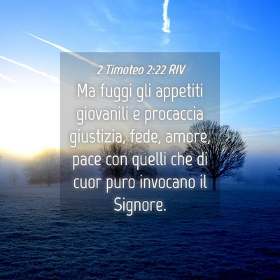 Picture 04 - 2 Timoteo 2:22 RIV - Ma fuggi gli appetiti giovanili e procaccia - Bible Verse Picture