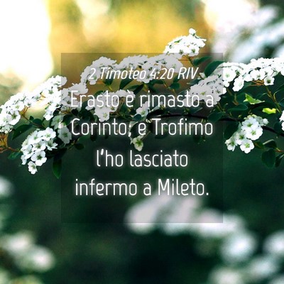 Picture 04 - 2 Timoteo 4:20 RIV - Erasto è rimasto a Corinto; e Trofimo l’ho - Bible Verse Picture