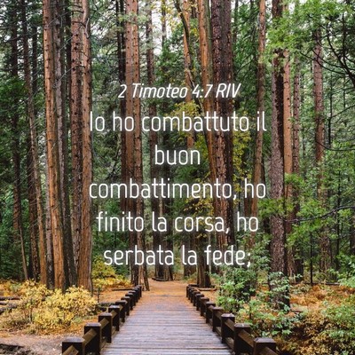 Picture 04 - 2 Timoteo 4:7 RIV - Io ho combattuto il buon combattimento, ho finito - Bible Verse Picture