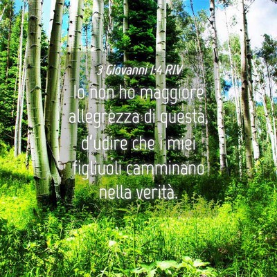 Picture 04 - 3 Giovanni 1:4 RIV - Io non ho maggiore allegrezza di questa, - Bible Verse Picture