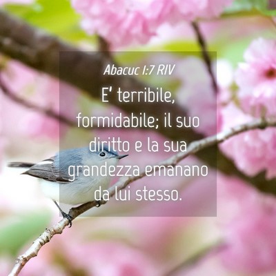 Picture 04 - Abacuc 1:7 RIV - E’ terribile, formidabile; il suo diritto e la - Bible Verse Picture