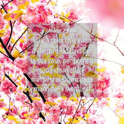 Picture 04 - Abacuc 2:9 RIV - Guai a colui ch’è avido d’illecito guadagno - Bible Verse Picture
