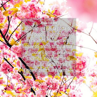 Picture 04 - Abdia 1:13 RIV - Non entrare per la porta del mio popolo il giorno - Bible Verse Picture