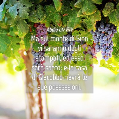Picture 04 - Abdia 1:17 RIV - Ma sul monte di Sion vi saranno degli scampati, - Bible Verse Picture