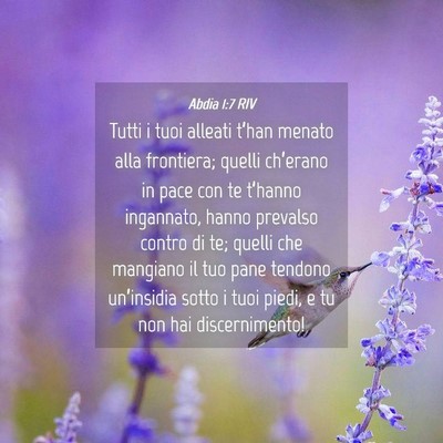 Picture 04 - Abdia 1:7 RIV - Tutti i tuoi alleati t’han menato alla - Bible Verse Picture