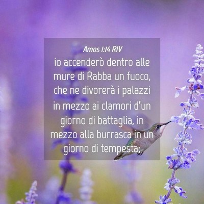 Picture 04 - Amos 1:14 RIV - io accenderò dentro alle mure di Rabba un fuoco, - Bible Verse Picture