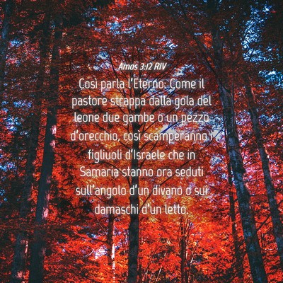 Picture 04 - Amos 3:12 RIV - Così parla l’Eterno: Come il pastore strappa - Bible Verse Picture