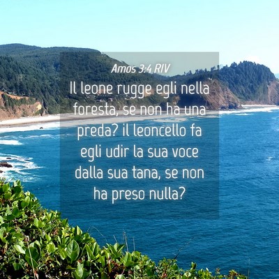 Picture 04 - Amos 3:4 RIV - Il leone rugge egli nella foresta, se non ha una - Bible Verse Picture