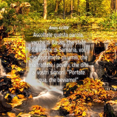 Picture 04 - Amos 4:1 RIV - Ascoltate questa parola, vacche di Basan, che - Bible Verse Picture