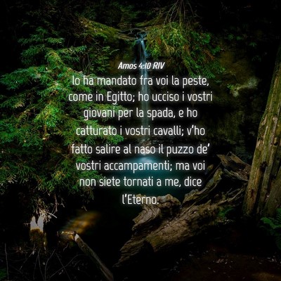 Picture 04 - Amos 4:10 RIV - Io ha mandato fra voi la peste, come in Egitto; - Bible Verse Picture