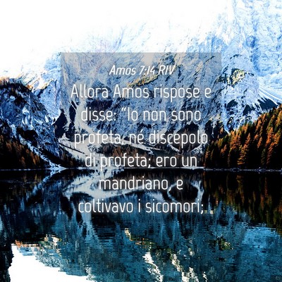 Picture 04 - Amos 7:14 RIV - Allora Amos rispose e disse: “Io non sono - Bible Verse Picture