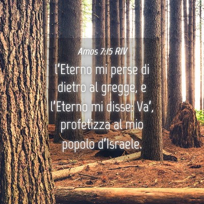 Picture 04 - Amos 7:15 RIV - l’Eterno mi perse di dietro al gregge, e - Bible Verse Picture