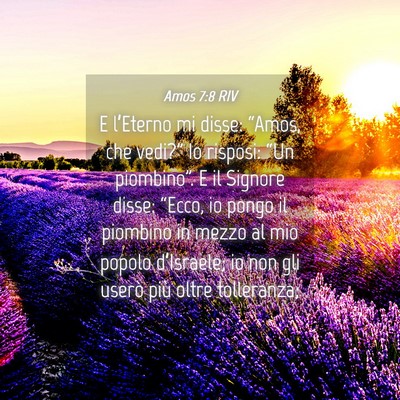 Picture 04 - Amos 7:8 RIV - E l’Eterno mi disse: “Amos, che vedi?” Io - Bible Verse Picture
