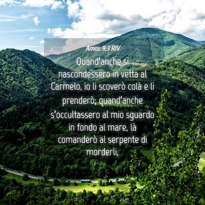 Picture 04 - Amos 9:3 RIV - Quand’anche si nascondessero in vetta al - Bible Verse Picture