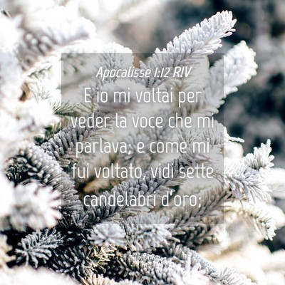 Picture 04 - Apocalisse 1:12 RIV - E io mi voltai per veder la voce che mi parlava; - Bible Verse Picture