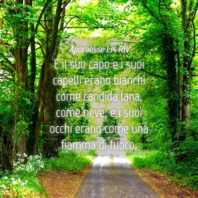 Picture 04 - Apocalisse 1:14 RIV - E il suo capo e i suoi capelli erano bianchi come - Bible Verse Picture