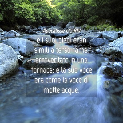Picture 04 - Apocalisse 1:15 RIV - e i suoi piedi eran simili a terso rame, - Bible Verse Picture