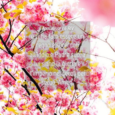 Picture 04 - Apocalisse 1:6 RIV - e ci ha fatti essere un regno e sacerdoti - Bible Verse Picture