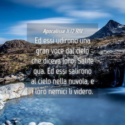 Picture 04 - Apocalisse 11:12 RIV - Ed essi udirono una gran voce dal cielo che - Bible Verse Picture