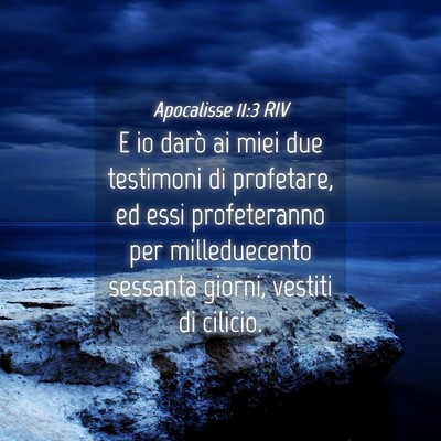Picture 04 - Apocalisse 11:3 RIV - E io darò ai miei due testimoni di profetare, ed - Bible Verse Picture