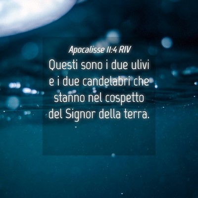 Picture 04 - Apocalisse 11:4 RIV - Questi sono i due ulivi e i due candelabri che - Bible Verse Picture