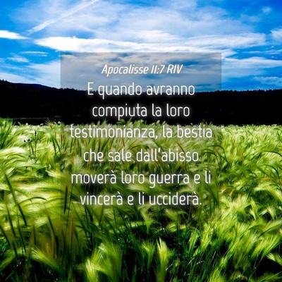 Picture 04 - Apocalisse 11:7 RIV - E quando avranno compiuta la loro testimonianza, - Bible Verse Picture