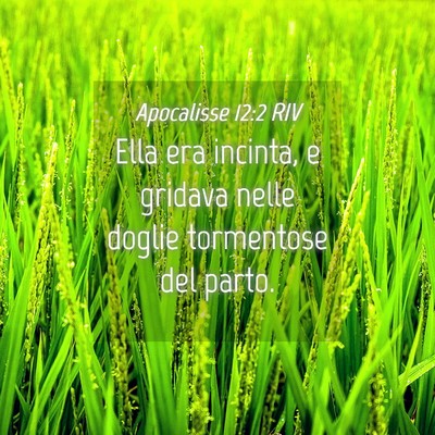 Picture 04 - Apocalisse 12:2 RIV - Ella era incinta, e gridava nelle doglie - Bible Verse Picture