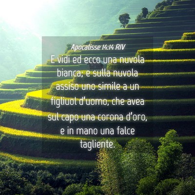 Picture 04 - Apocalisse 14:14 RIV - E vidi ed ecco una nuvola bianca; e sulla nuvola - Bible Verse Picture