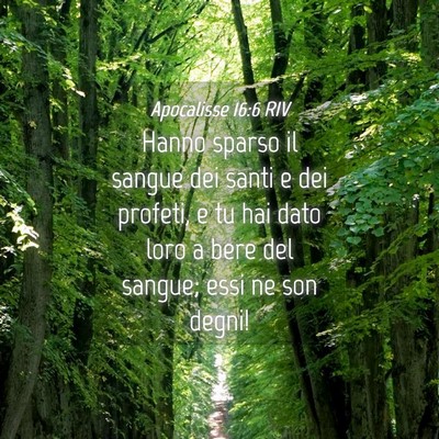 Picture 04 - Apocalisse 16:6 RIV - Hanno sparso il sangue dei santi e dei profeti, e - Bible Verse Picture