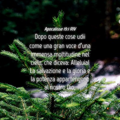Picture 04 - Apocalisse 19:1 RIV - Dopo queste cose udii come una gran voce d’una - Bible Verse Picture