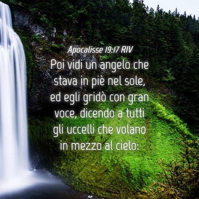 Picture 04 - Apocalisse 19:17 RIV - Poi vidi un angelo che stava in piè nel sole, ed - Bible Verse Picture