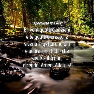Picture 04 - Apocalisse 19:4 RIV - E i ventiquattro anziani e le quattro creature - Bible Verse Picture