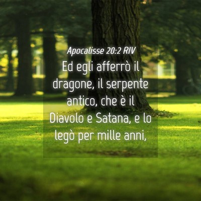 Picture 04 - Apocalisse 20:2 RIV - Ed egli afferrò il dragone, il serpente antico, - Bible Verse Picture