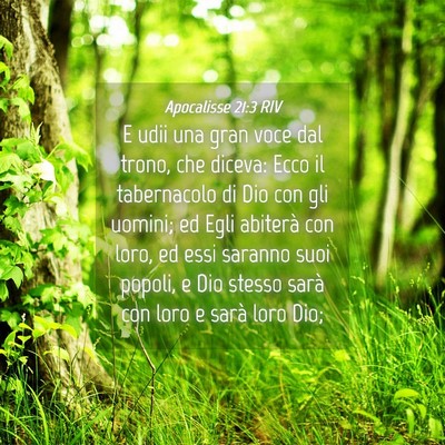 Picture 04 - Apocalisse 21:3 RIV - E udii una gran voce dal trono, che diceva: Ecco - Bible Verse Picture