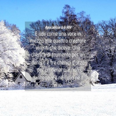 Picture 04 - Apocalisse 6:6 RIV - E udii come una voce in mezzo alle quattro - Bible Verse Picture
