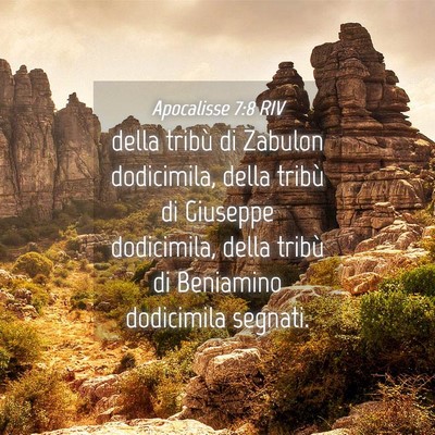Picture 04 - Apocalisse 7:8 RIV - della tribù di Zabulon dodicimila, della tribù - Bible Verse Picture