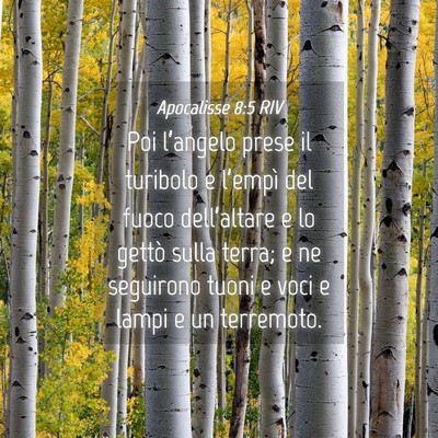 Picture 04 - Apocalisse 8:5 RIV - Poi l’angelo prese il turibolo e l’empì del - Bible Verse Picture