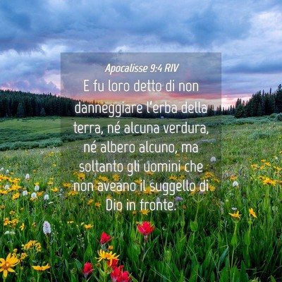 Picture 04 - Apocalisse 9:4 RIV - E fu loro detto di non danneggiare l’erba della - Bible Verse Picture