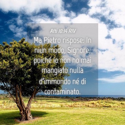 Picture 04 - Atti 10:14 RIV - Ma Pietro rispose: In niun modo, Signore, poiché - Bible Verse Picture