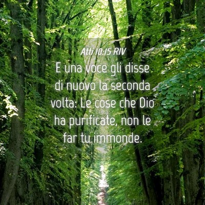 Picture 04 - Atti 10:15 RIV - E una voce gli disse di nuovo la seconda volta: - Bible Verse Picture