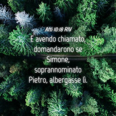 Picture 04 - Atti 10:18 RIV - E avendo chiamato, domandarono se Simone, - Bible Verse Picture