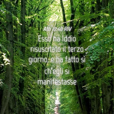 Picture 04 - Atti 10:40 RIV - Esso ha Iddio risuscitato il terzo giorno, e ha - Bible Verse Picture