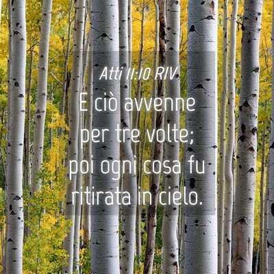 Picture 04 - Atti 11:10 RIV - E ciò avvenne per tre volte; poi ogni cosa fu - Bible Verse Picture