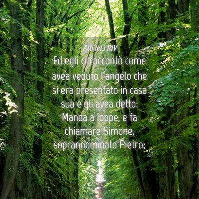 Picture 04 - Atti 11:13 RIV - Ed egli ci raccontò come avea veduto l’angelo - Bible Verse Picture